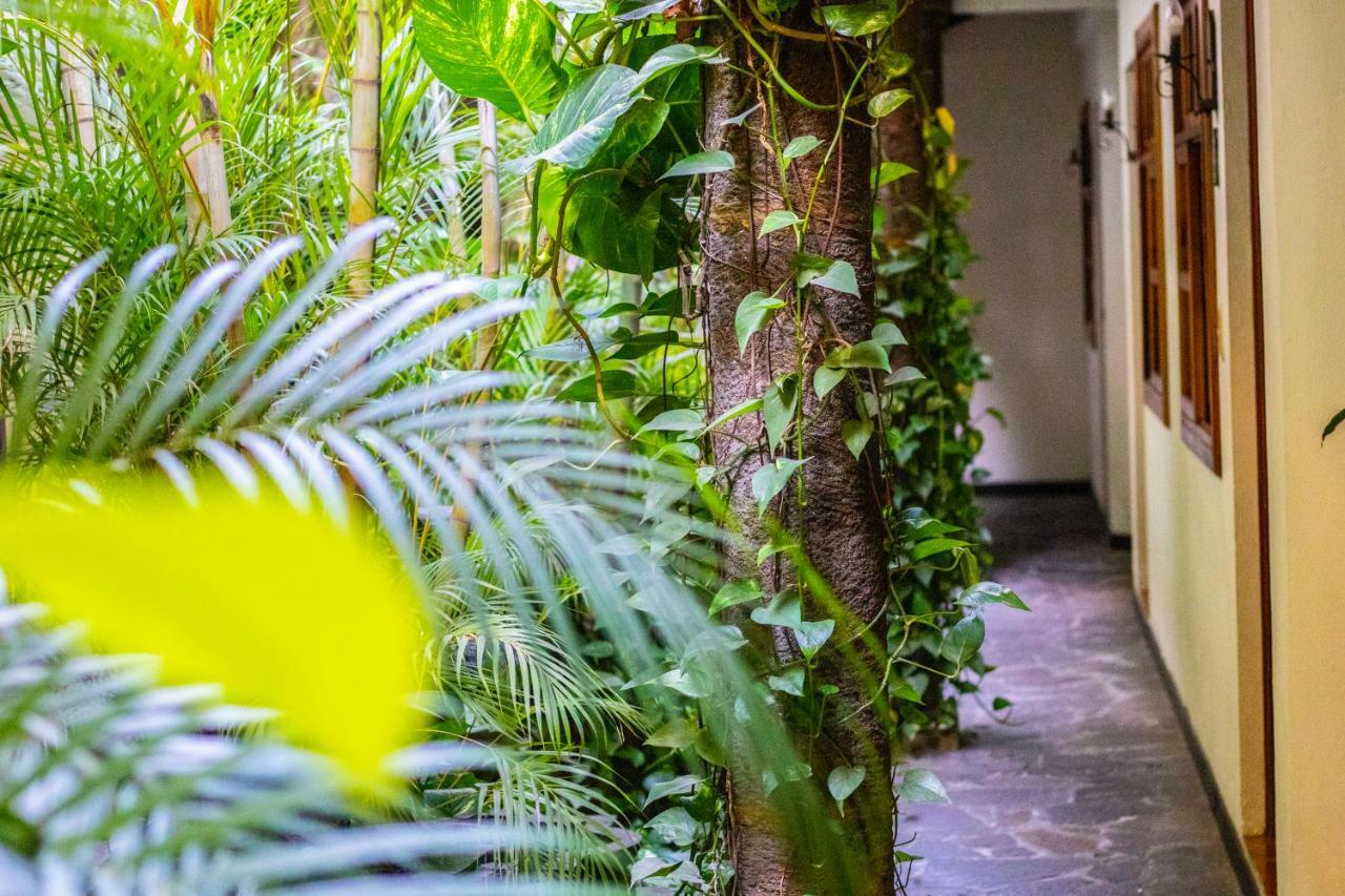 Hotel Arbol De Fuego Сан-Сальвадор Экстерьер фото