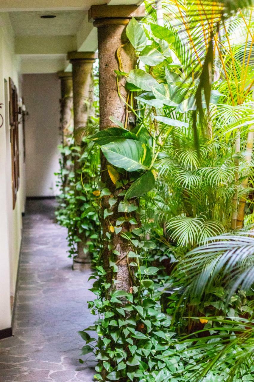 Hotel Arbol De Fuego Сан-Сальвадор Экстерьер фото