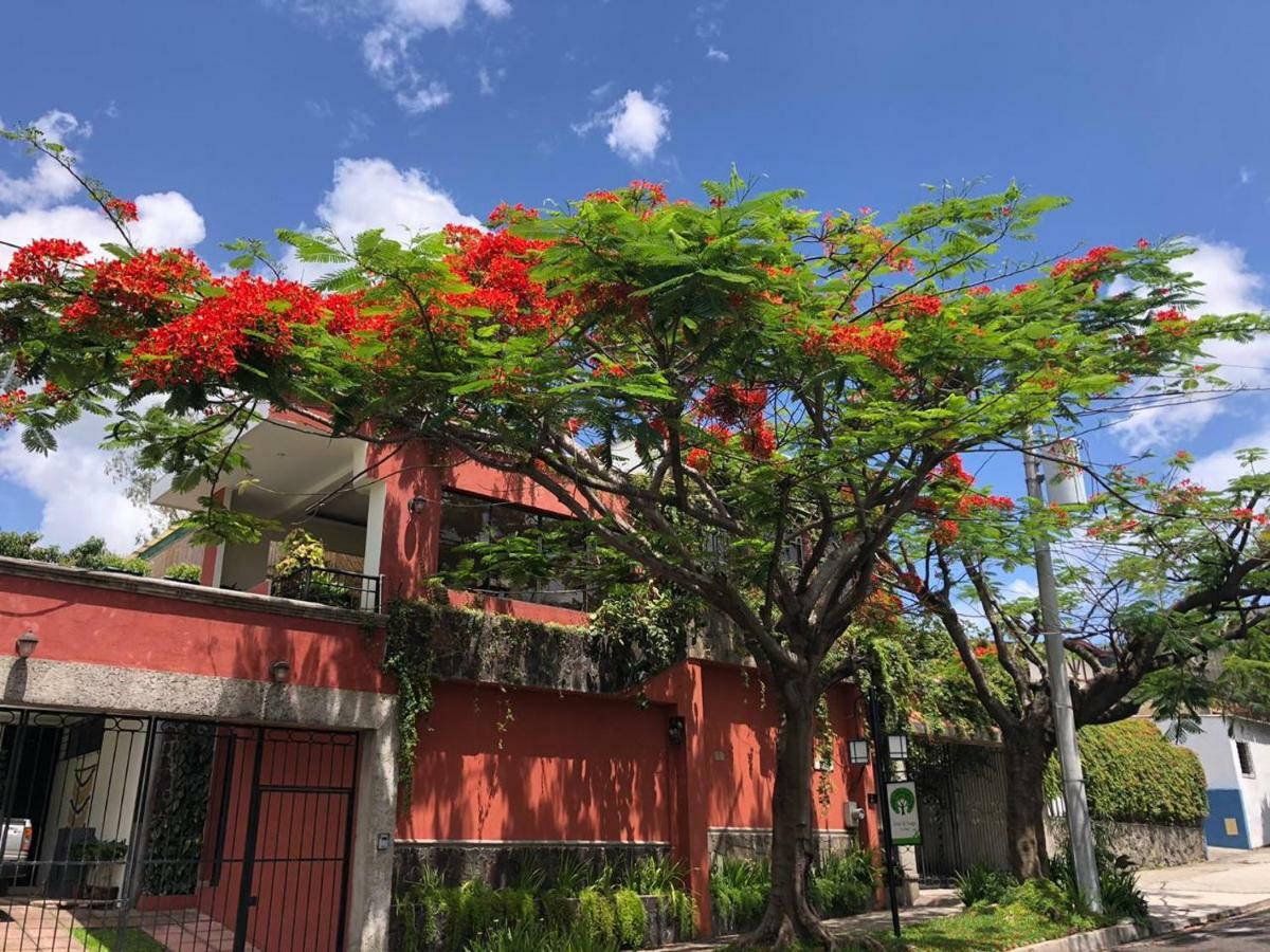 Hotel Arbol De Fuego Сан-Сальвадор Экстерьер фото